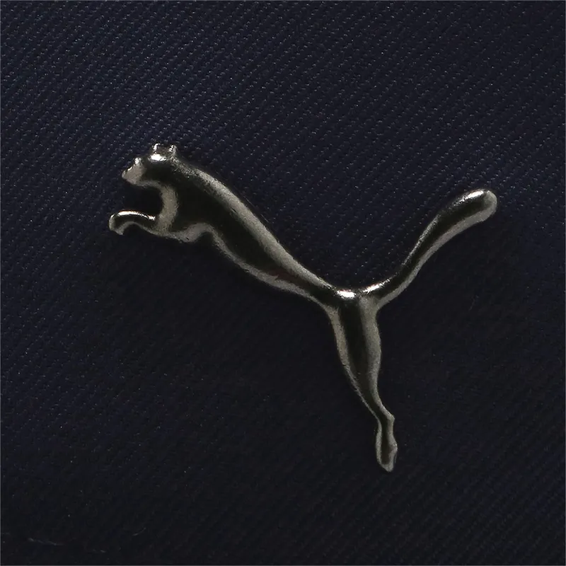 curva-puma