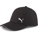 curva-puma