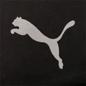 curva-puma