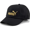 curva-puma