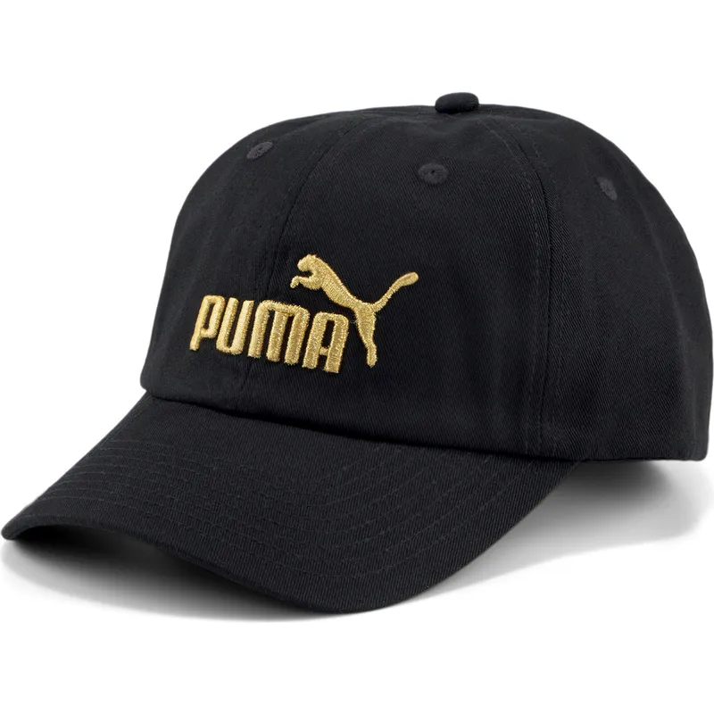 curva-puma