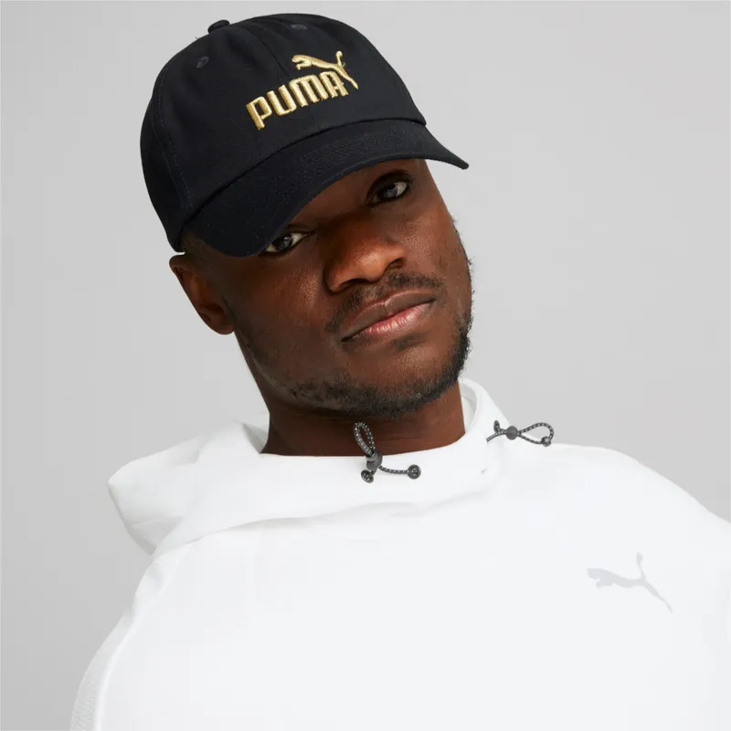 curva-puma