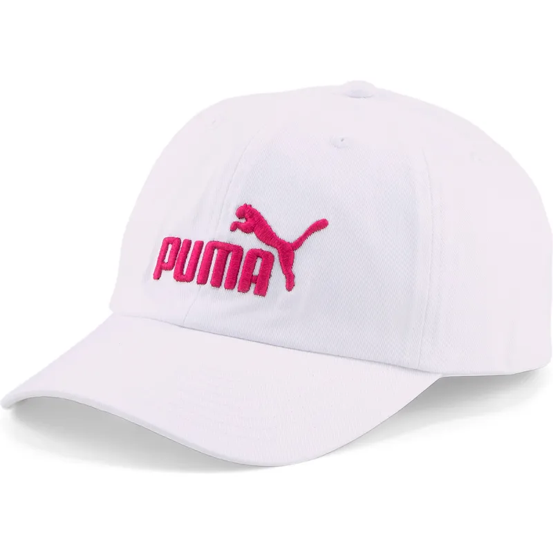 curva-puma curva-puma