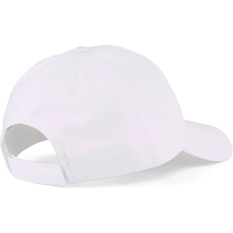 curva-puma curva-puma