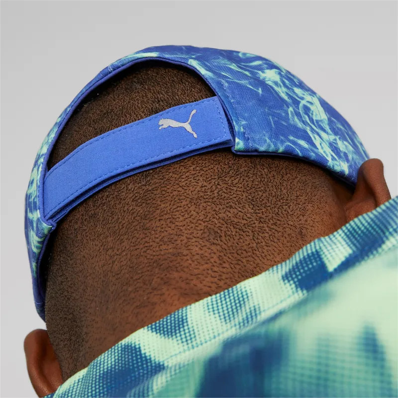 curva-puma