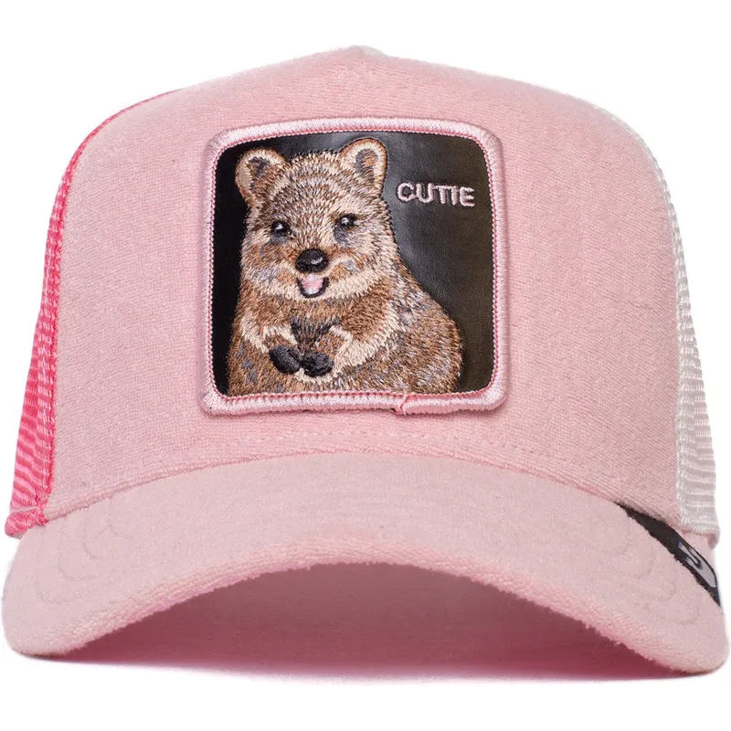 curva-snapback-the-farm-goorin-bros