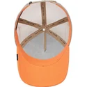 curva-snapback-the-farm-goorin-bros