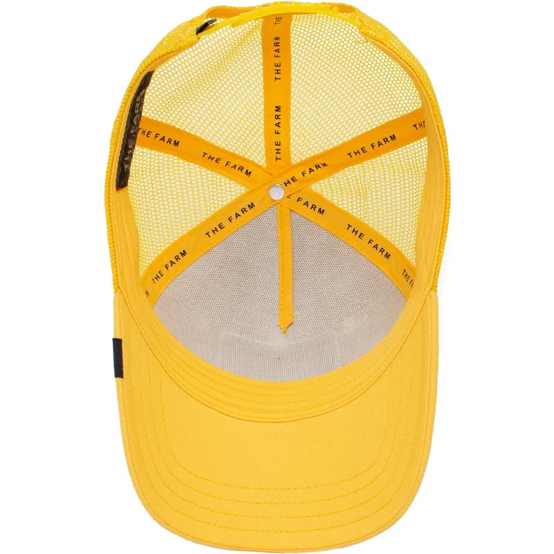 curva-snapback-the-farm-goorin-bros