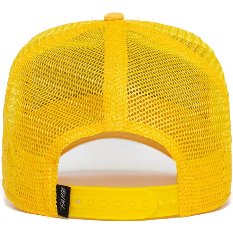 curva-snapback-the-farm-goorin-bros