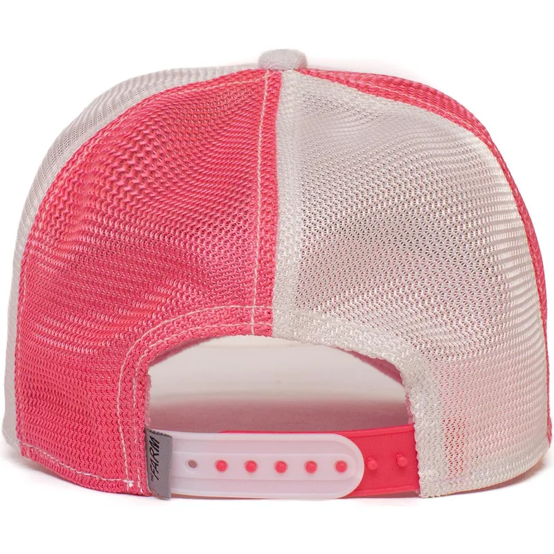 curva-snapback-the-farm-goorin-bros