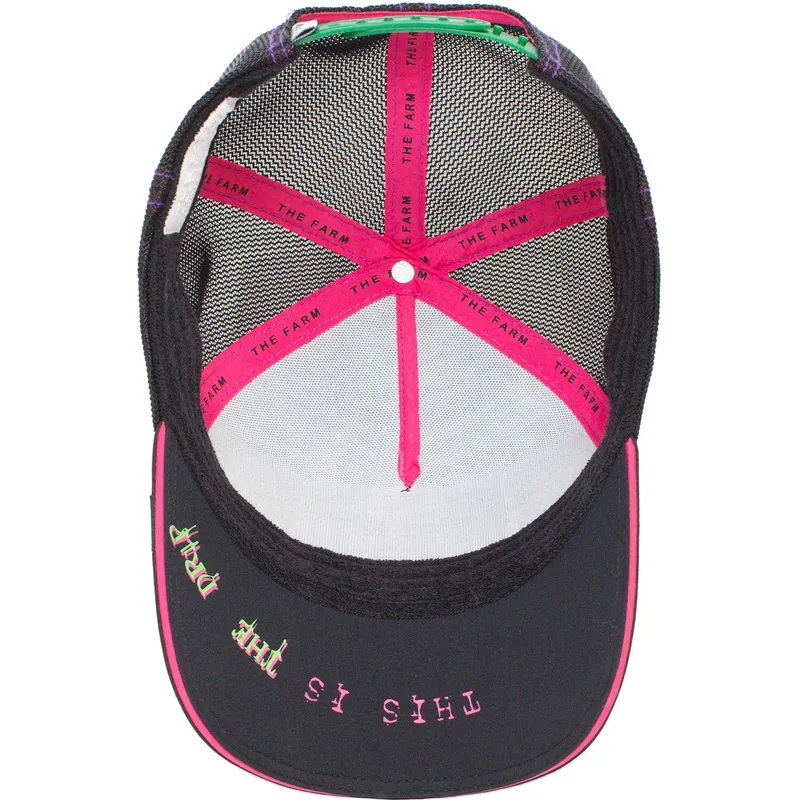 curva-snapback-the-farm-goorin-bros