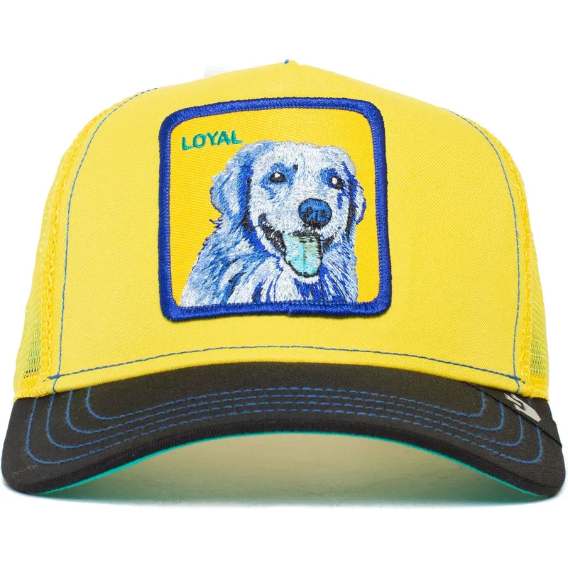 trucker-labrador-retriever-loyal-doggy-trip-the-farm-goorin-bros trucker-labrador-retriever-loyal-doggy-trip-the-farm-goorin-bros