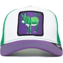 curva-snapback-the-farm-goorin-bros