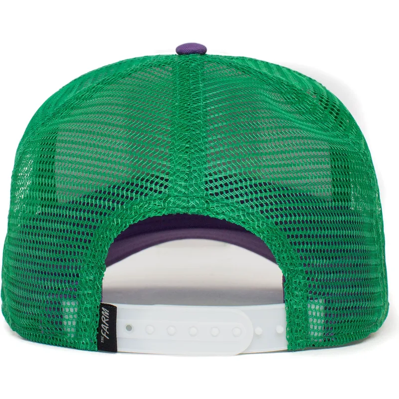 curva-snapback-the-farm-goorin-bros