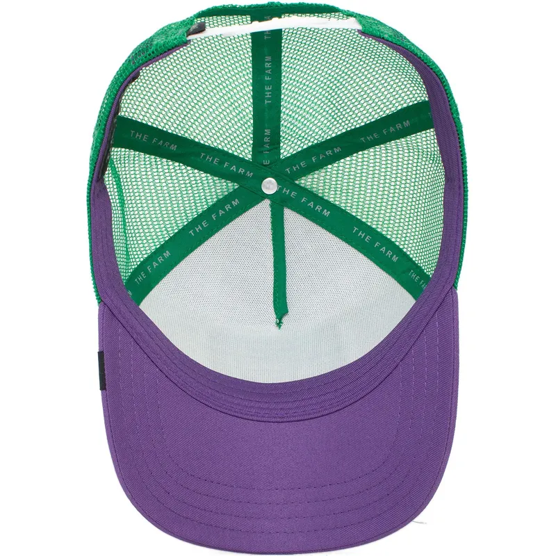 curva-snapback-the-farm-goorin-bros