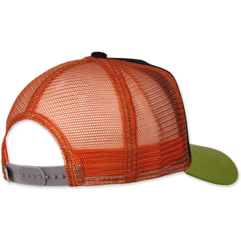 curva-snapback-coastal