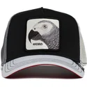 curva-snapback-the-farm-goorin-bros