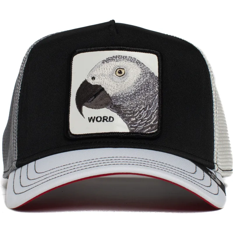 curva-snapback-the-farm-goorin-bros