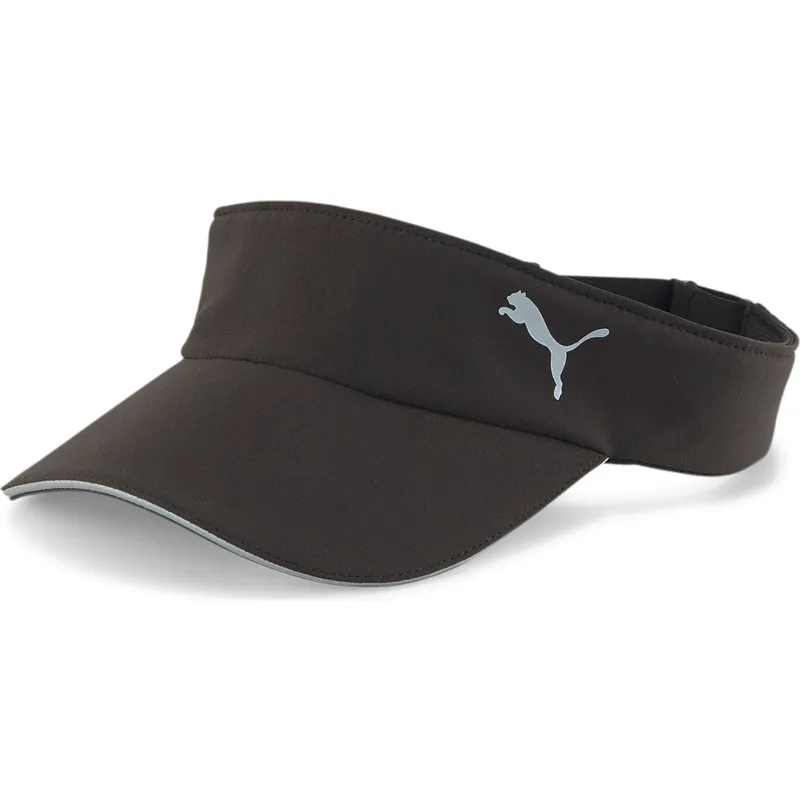curva-puma