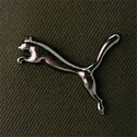 curva-puma