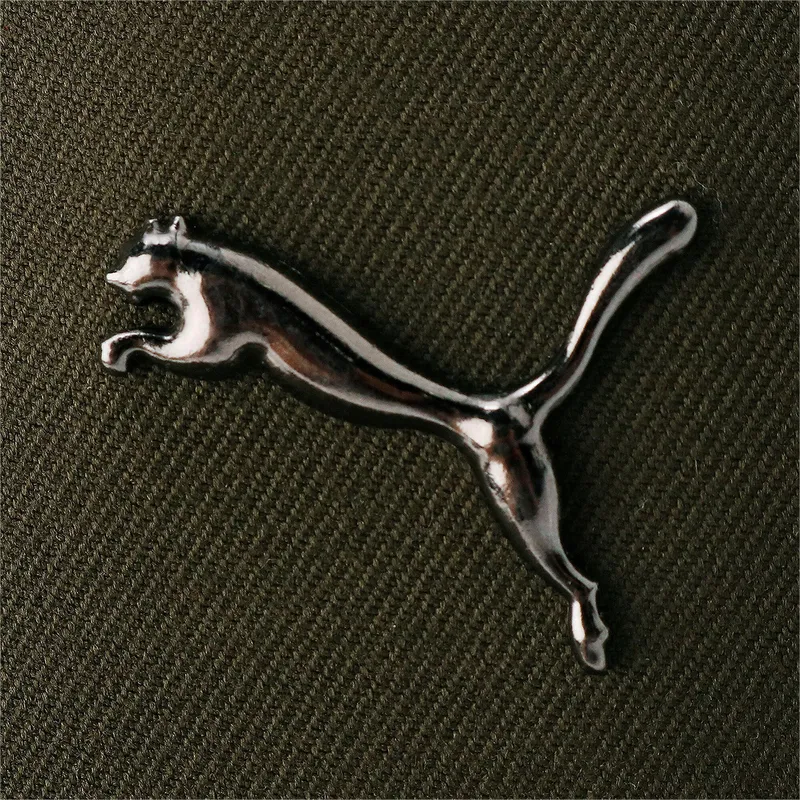 curva-puma