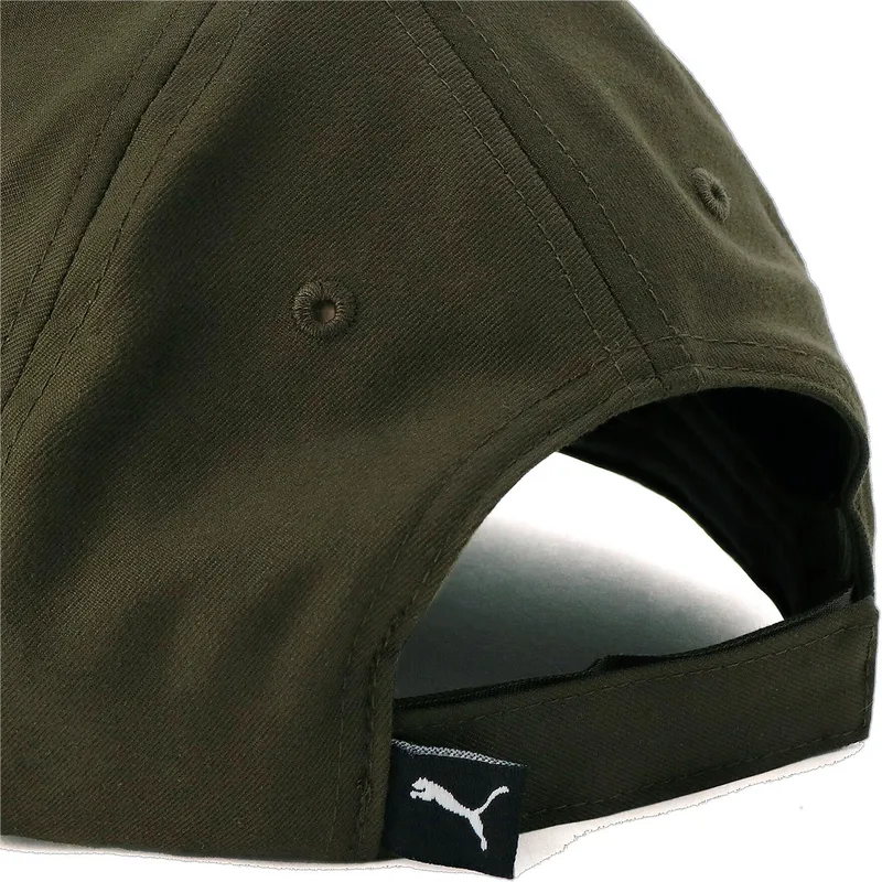 curva-puma