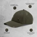 curva-puma