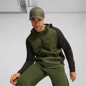 curva-puma
