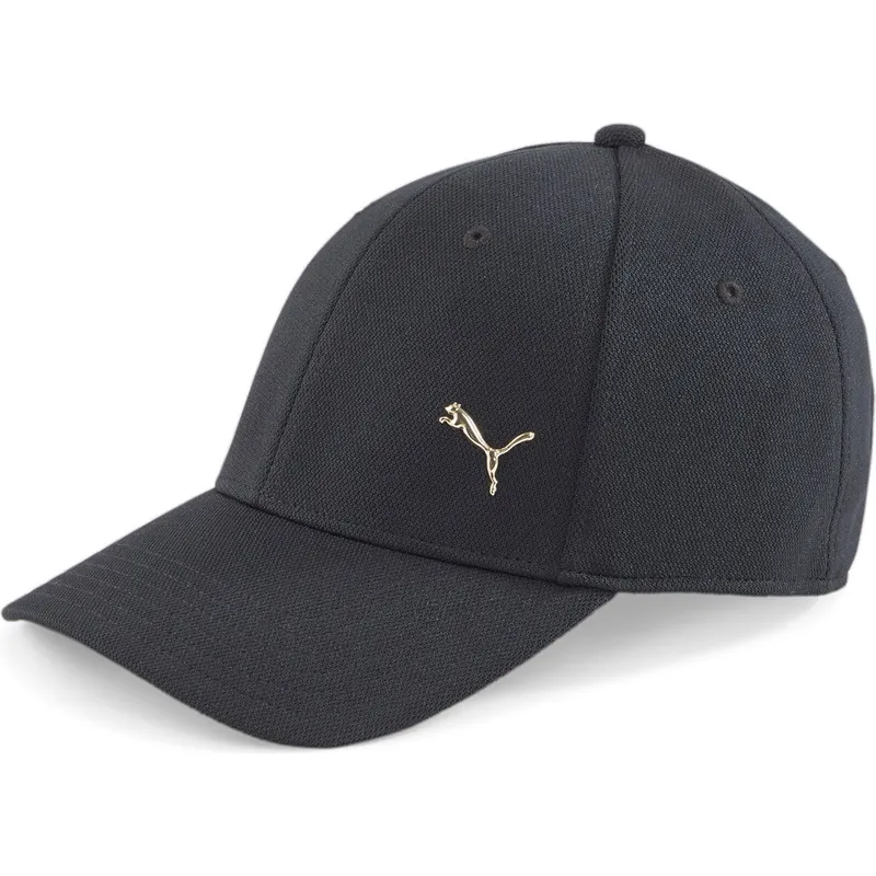 curva-puma