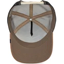 curva-snapback-the-farm-goorin-bros