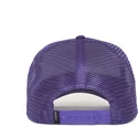 curva-snapback-the-farm-goorin-bros