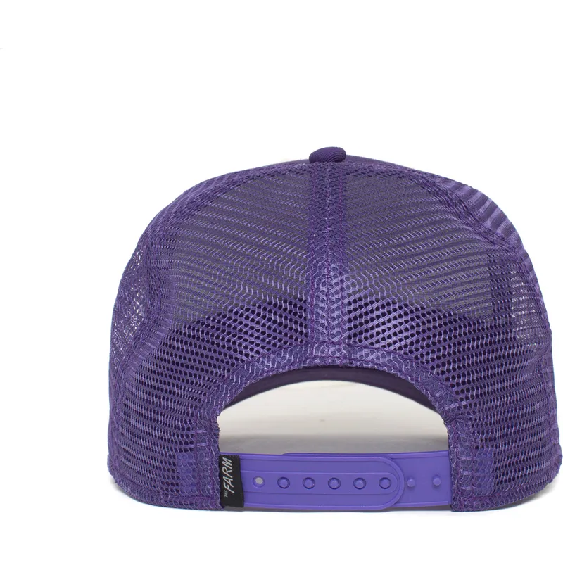 curva-snapback-the-farm-goorin-bros