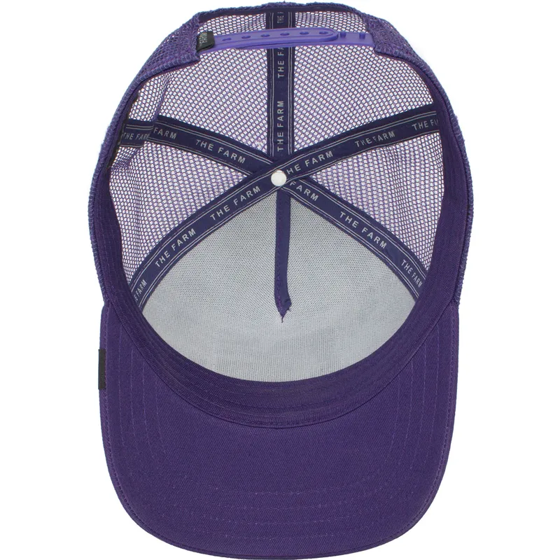 curva-snapback-the-farm-goorin-bros