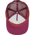 curva-snapback-the-farm-goorin-bros