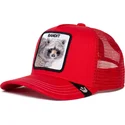 curva-snapback-the-farm-goorin-bros
