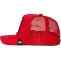 curva-snapback-the-farm-goorin-bros