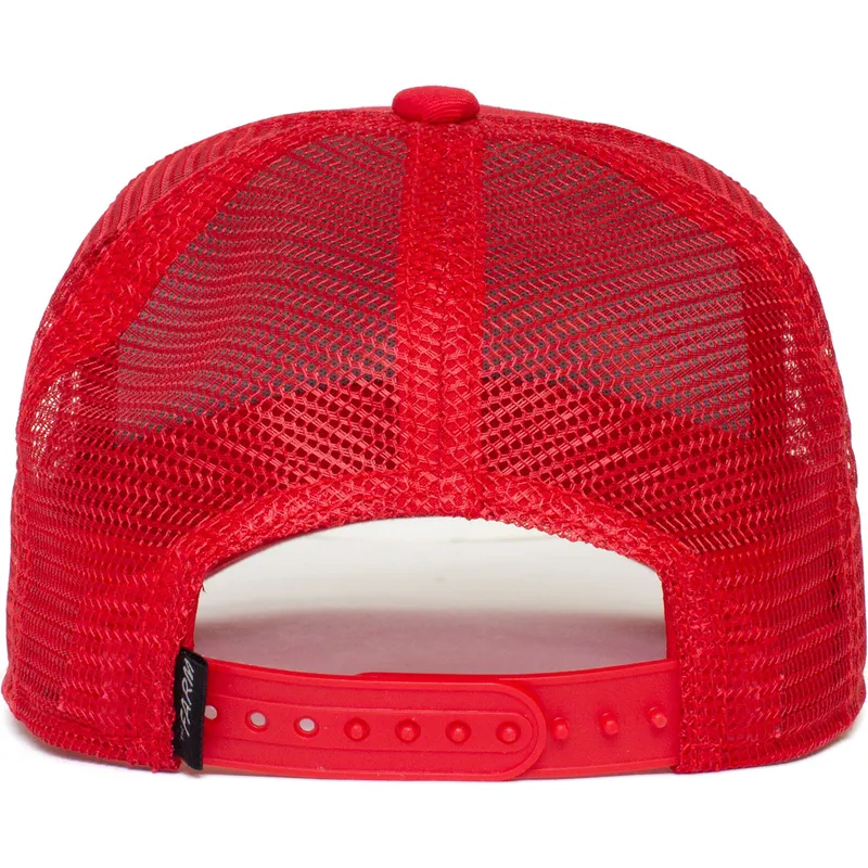 curva-snapback-the-farm-goorin-bros