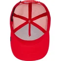 curva-snapback-the-farm-goorin-bros