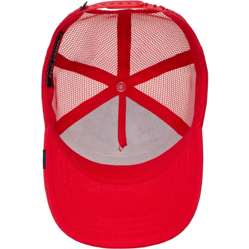 curva-snapback-the-farm-goorin-bros