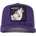curva-snapback-the-farm-goorin-bros