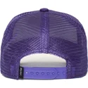 curva-snapback-the-farm-goorin-bros