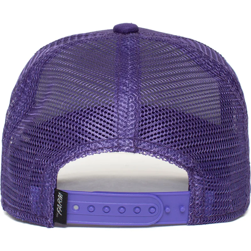 curva-snapback-the-farm-goorin-bros