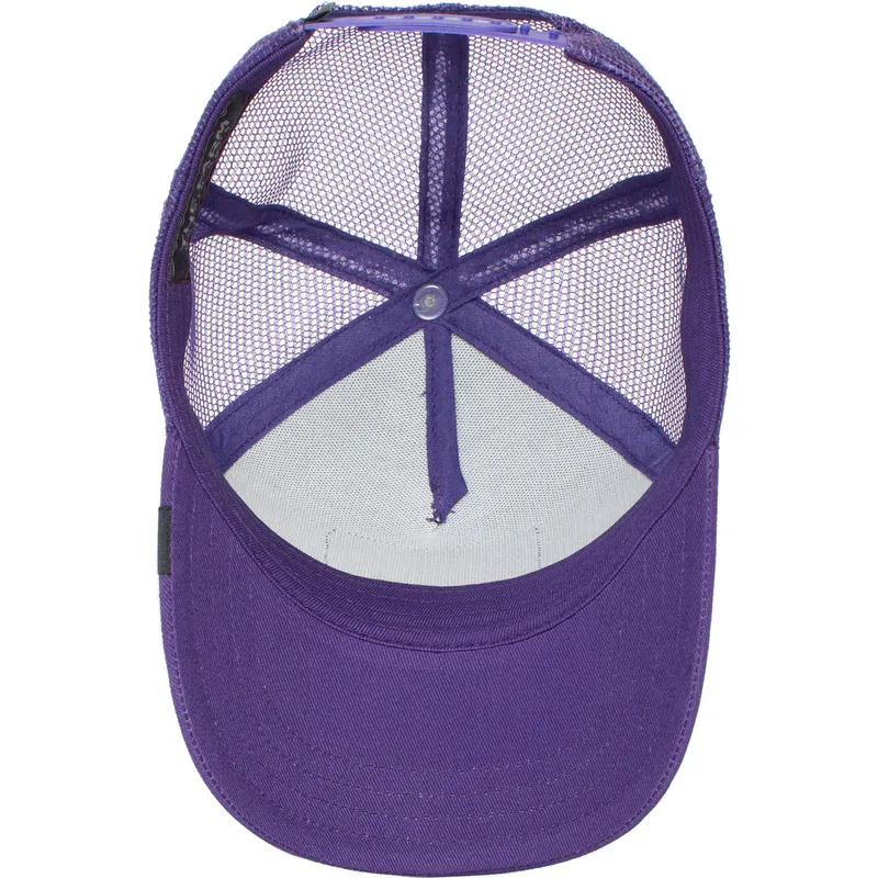 curva-snapback-the-farm-goorin-bros