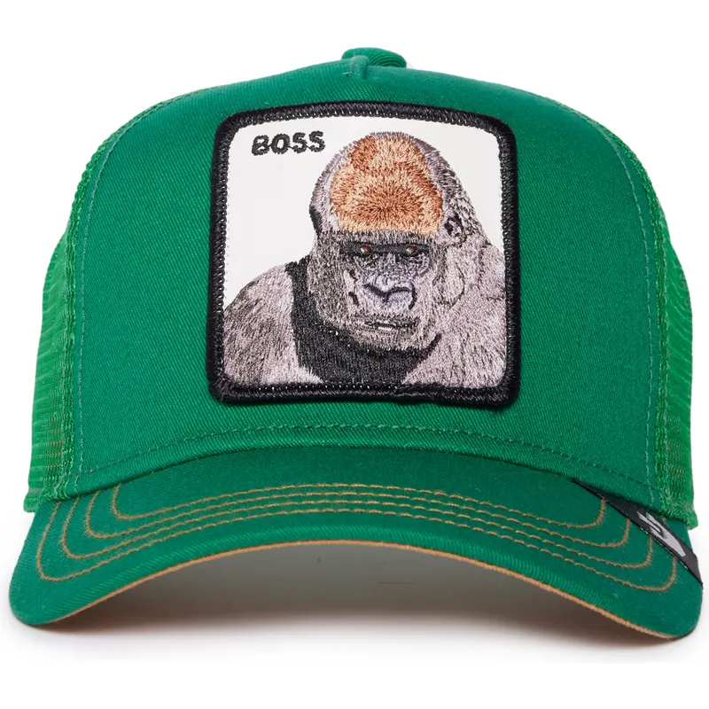 curva-snapback-the-farm-goorin-bros