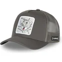 curva-snapback-tom-looney-tunes-capslab