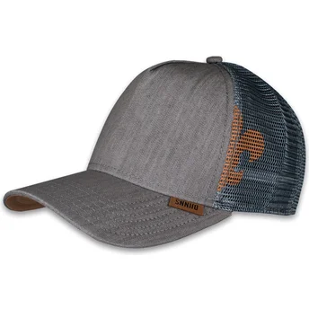 Καπέλα καμπύλη γκρι snapback HFT Linen 2014 από Djinns