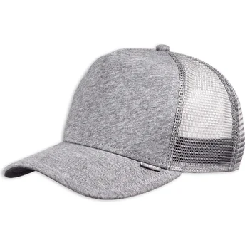 Καπέλα καμπύλη γκρι snapback Cut & Sew HFT από Djinns