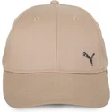 curva-puma