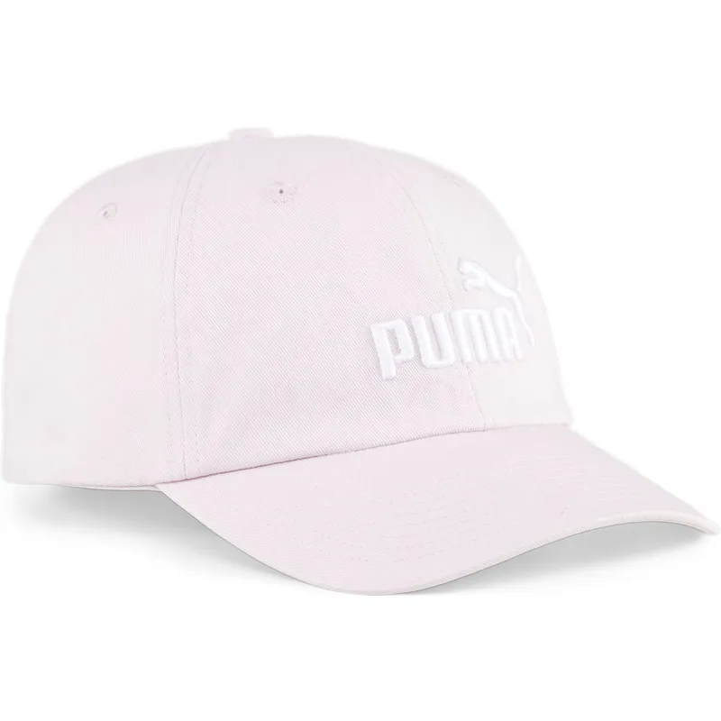 curva-puma
