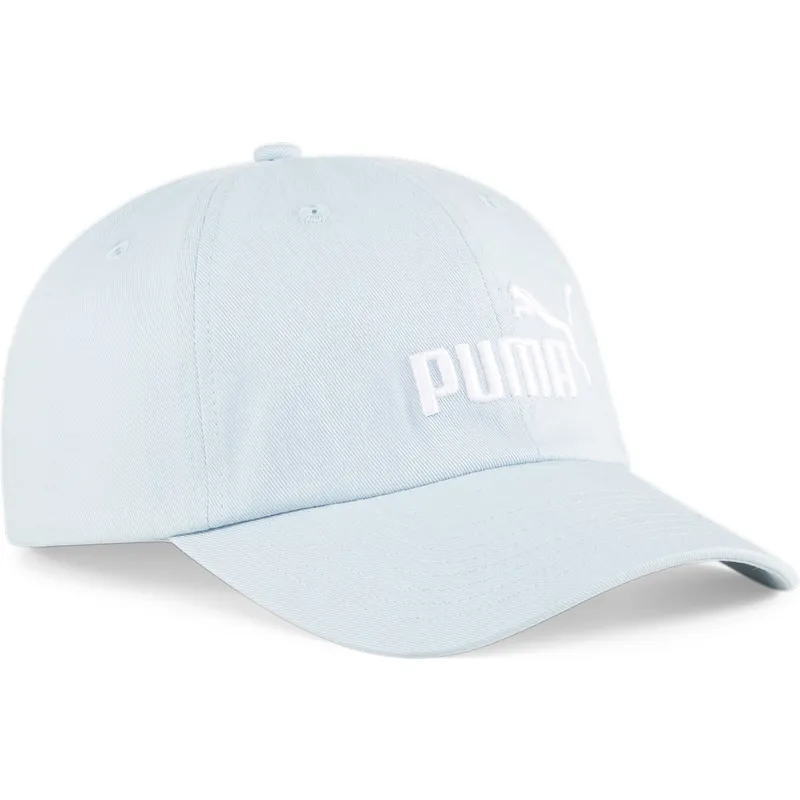 curva-puma